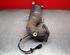 Catalytic Converter LANCIA DELTA III (844_)