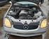 Headlight MERCEDES-BENZ SLK (R170)