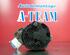 Alternator RENAULT KANGOO Express (FC0/1_)