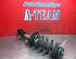 Shock Absorber FIAT Bravo II (198)