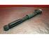 Shock Absorber AUDI A3 (8L1)