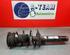 Shock Absorber VW Golf VII (5G1, BE1, BE2, BQ1)