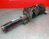 Shock Absorber VW Golf VII (5G1, BE1, BE2, BQ1)