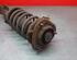 Shock Absorber DAIHATSU Gran Move (G3)