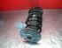 Shock Absorber LAND ROVER FREELANDER 2 (L359)