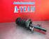 Shock Absorber VOLVO V70 III (135)