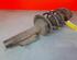 Shock Absorber FORD TRANSIT CONNECT (P65_, P70_, P80_)