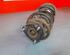 Shock Absorber FORD TRANSIT CONNECT (P65_, P70_, P80_)