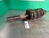 Shock Absorber SKODA FABIA II Combi (545), SKODA ROOMSTER Praktik (5J)