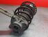 Shock Absorber BMW 3 (G20, G80)