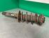 Shock Absorber VW GOLF V (1K1)