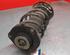 Shock Absorber VW GOLF V (1K1)