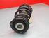 Shock Absorber VW GOLF VII (5G1, BQ1, BE1, BE2)