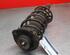 Shock Absorber VW JETTA IV (162, 163, AV3, AV2)