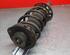 Shock Absorber VW JETTA IV (162, 163, AV3, AV2)