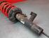 Shock Absorber VW GOLF VI (5K1)