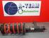 Shock Absorber VW GOLF VI (5K1)