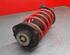 Shock Absorber VW GOLF VI (5K1)