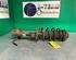 Shock Absorber OPEL ASTRA H Estate (A04)