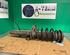 Shock Absorber PEUGEOT 207 (WA_, WC_)