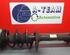 Shock Absorber FIAT DUCATO Van (250_, 290_)