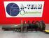 Shock Absorber VW POLO (9N_)