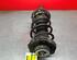 Shock Absorber VW POLO (9N_)