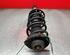 Shock Absorber VW TIGUAN (5N_), VW TIGUAN VAN (5N_)