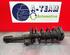 Shock Absorber VW TIGUAN (5N_), VW TIGUAN VAN (5N_)