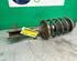 Shock Absorber CHEVROLET AVEO / KALOS Hatchback (T250, T255)