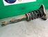 Shock Absorber AUDI A4 (8E2, B6), AUDI A4 (8EC, B7)