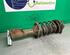 Shock Absorber HYUNDAI ATOS (MX)