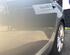 Door AUDI A6 Avant (4F5, C6), AUDI A6 Allroad (4FH, C6)