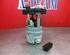 Fuel Pump RENAULT Twingo II (CN0)