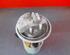 Fuel Pump FIAT Bravo II (198)