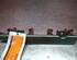 Petrol Fuel Rail NISSAN Primera (P12)