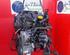 Motor kaal RENAULT CLIO III (BR0/1, CR0/1)