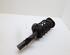 Suspension Strut VOLVO V70 III (135), VOLVO XC70 II (136)