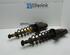 Shock Absorber SAAB 9-5 Estate (YS3E)