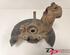 Stub Axle FORD Kuga II (DM2)