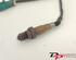 Lambda Sensor FORD C-Max (DM2)