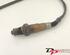 Lambda Sensor / NOx Sensor FORD C-MAX (DM2)