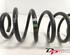 Coil Spring VW TOURAN (1T1, 1T2), VW TOURAN (1T3)