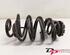 Coil Spring RENAULT Clio III (BR0/1, CR0/1), RENAULT Clio IV (BH)