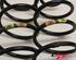 Coil Spring FIAT Grande Punto (199), FIAT Punto (199), FIAT Punto Evo (199)