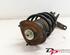 Suspension Strut LAND ROVER Freelander (LN)