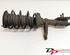 Suspension Strut LAND ROVER Freelander (LN)