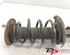 Suspension Strut FORD Galaxy (WA6), FORD S-Max (WA6)