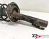 Suspension Strut RENAULT Megane II (BM0/1, CM0/1)