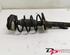 Suspension Strut RENAULT Megane II (BM0/1, CM0/1)